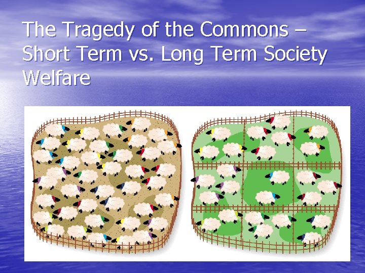 The Tragedy of the Commons – Short Term vs. Long Term Society Welfare 