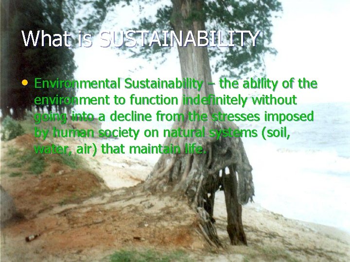 What is SUSTAINABILITY • Environmental Sustainability – the ability of the environment to function