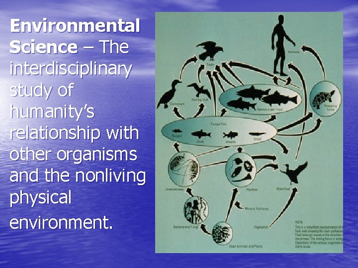 Environmental Science – The interdisciplinary study of humanity’s relationship with other organisms and the