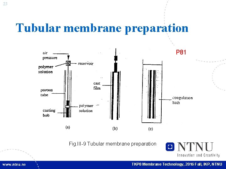 23 Tubular membrane preparation P 81 Fig. III-9 Tubular membrane preparation TKP 8 Membrane