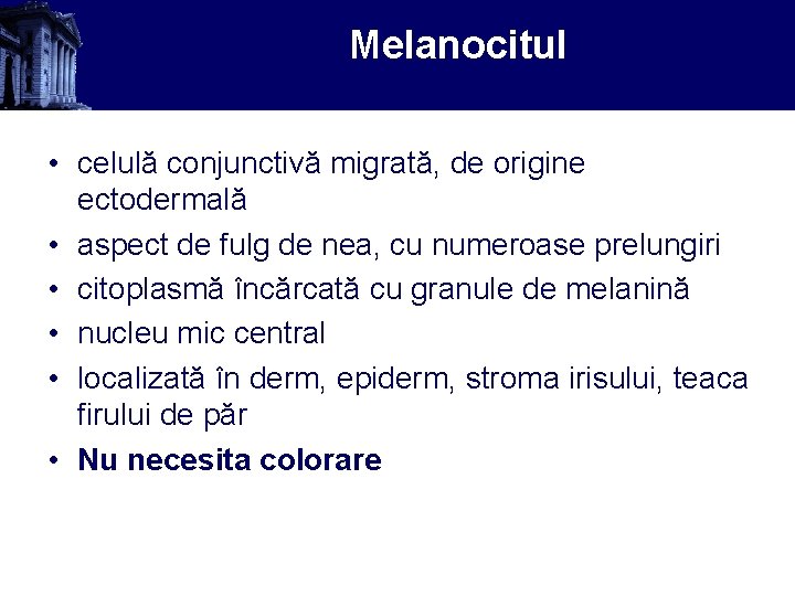 Melanocitul • celulă conjunctivă migrată, de origine ectodermală • aspect de fulg de nea,