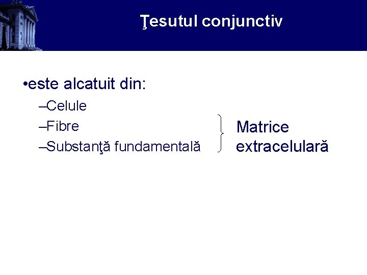 Ţesutul conjunctiv • este alcatuit din: –Celule –Fibre –Substanţă fundamentală Matrice extracelulară 