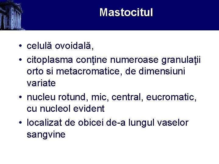 Mastocitul • celulă ovoidală, • citoplasma conţine numeroase granulaţii orto si metacromatice, de dimensiuni
