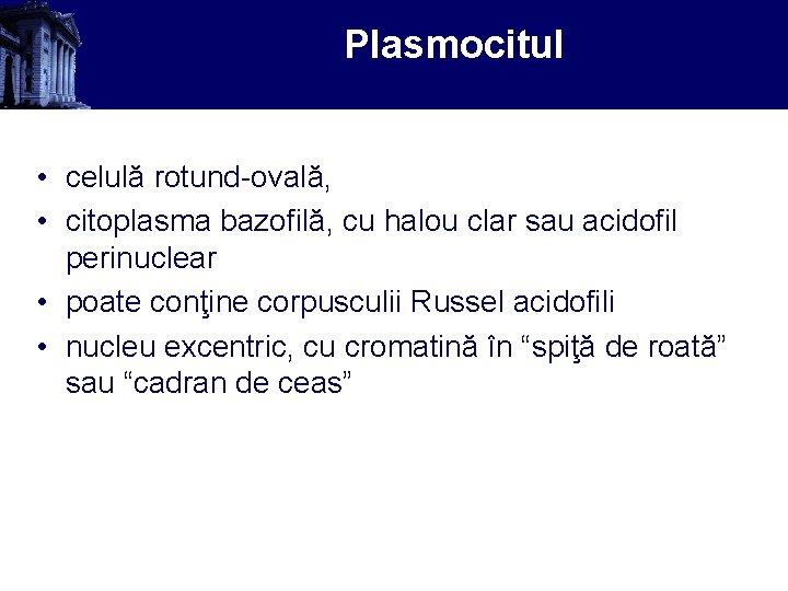 Plasmocitul • celulă rotund-ovală, • citoplasma bazofilă, cu halou clar sau acidofil perinuclear •