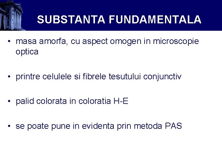 SUBSTANTA FUNDAMENTALA • masa amorfa, cu aspect omogen in microscopie optica • printre celulele