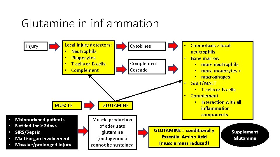 Glutamine in inflammation Injury Local injury detectors: • Neutrophils • Phagocytes • T-cells or
