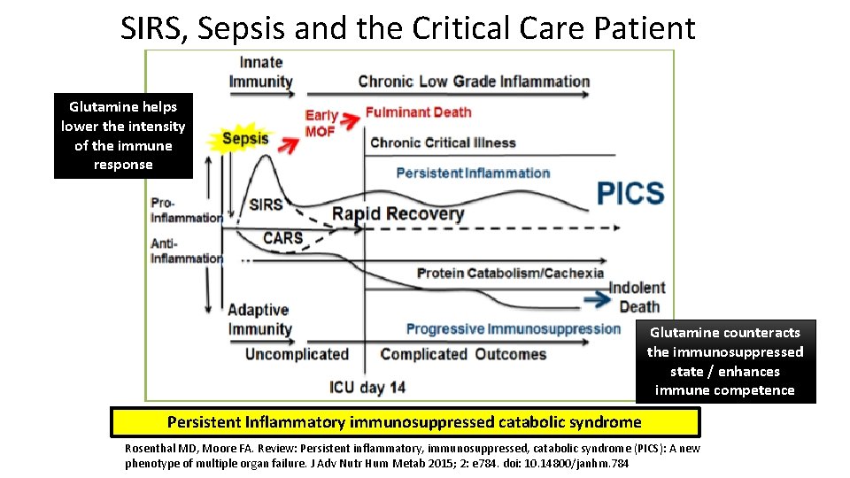 SIRS, Sepsis and the Critical Care Patient Glutamine helps lower the intensity of the