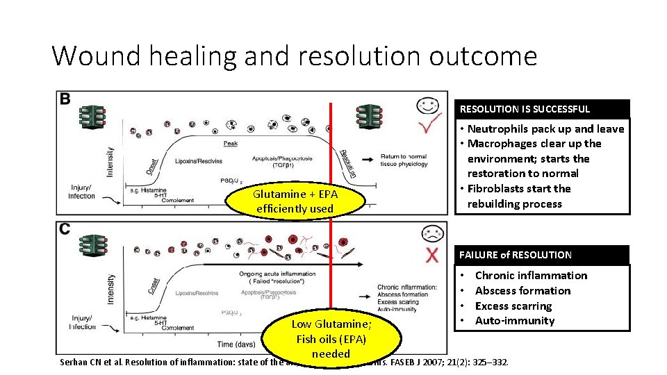 Wound healing and resolution outcome RESOLUTION IS SUCCESSFUL Glutamine + EPA efficiently used •