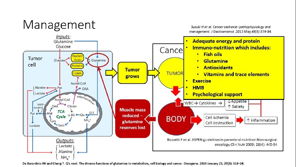 Suzuki H et al. Cancer cachexia--pathophysiology and management. J Gastroenterol. 2013 May; 48(5): 574