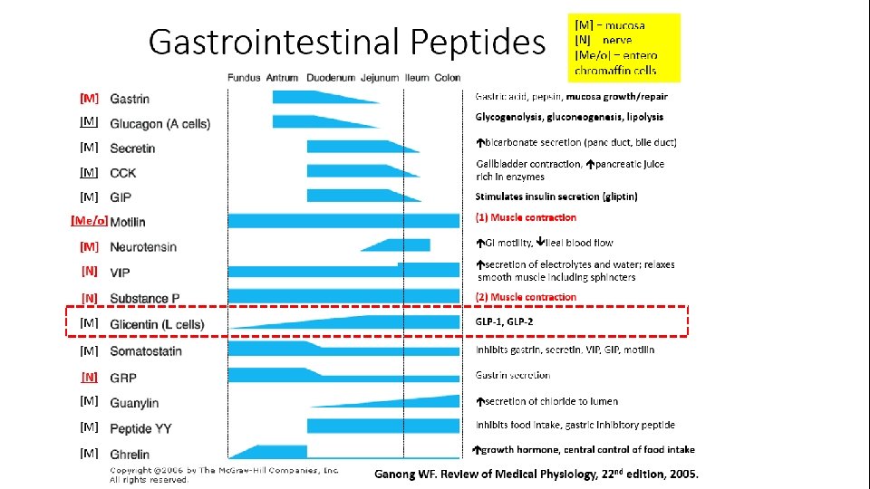 Gastrointestinal Peptides 