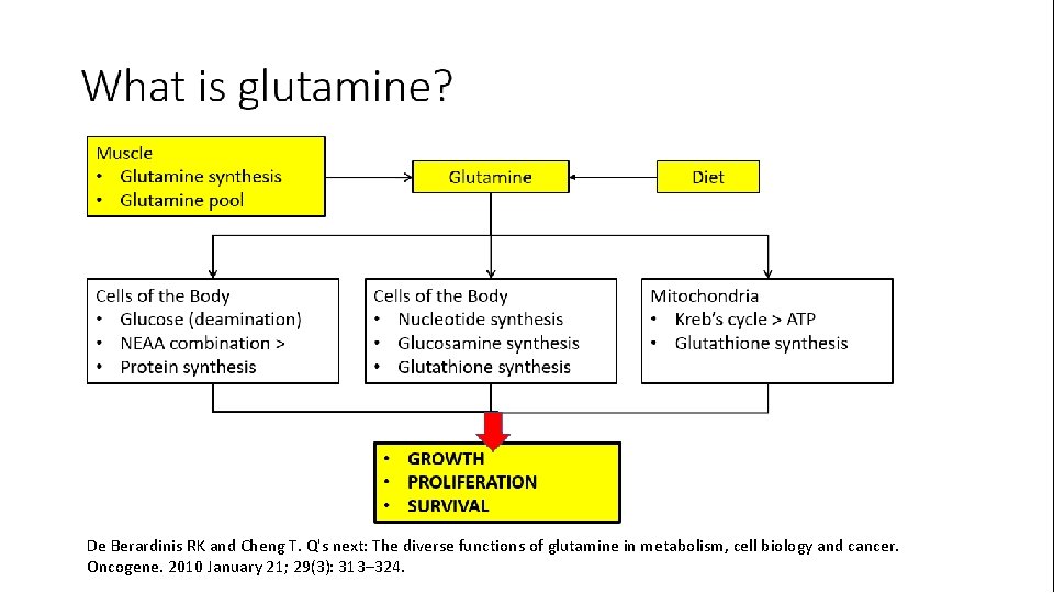 De Berardinis RK and Cheng T. Q's next: The diverse functions of glutamine in