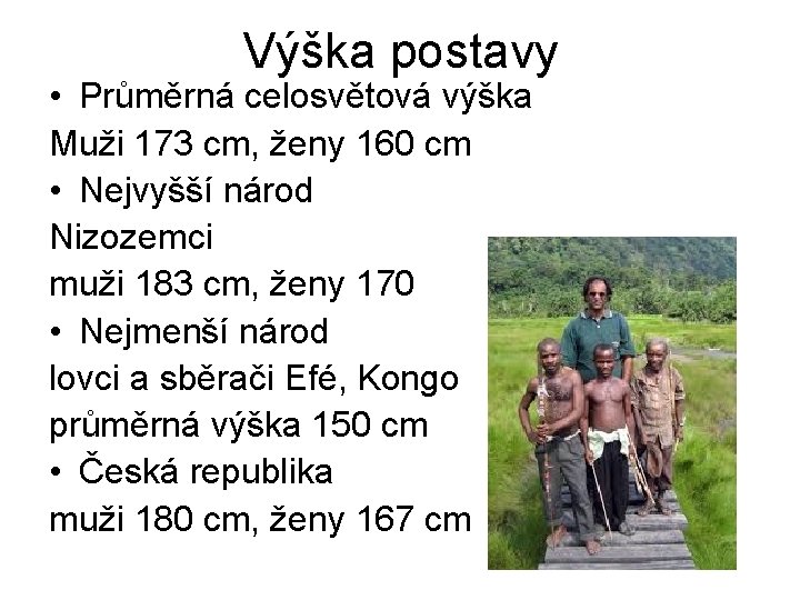 Výška postavy • Průměrná celosvětová výška Muži 173 cm, ženy 160 cm • Nejvyšší