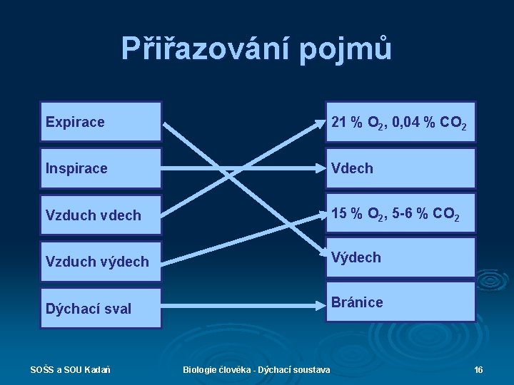 Přiřazování pojmů Expirace 21 % O 2, 0, 04 % CO 2 Inspirace Vdech