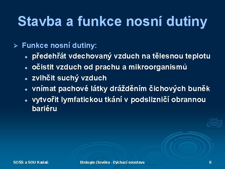 Stavba a funkce nosní dutiny Ø Funkce nosní dutiny: l předehřát vdechovaný vzduch na