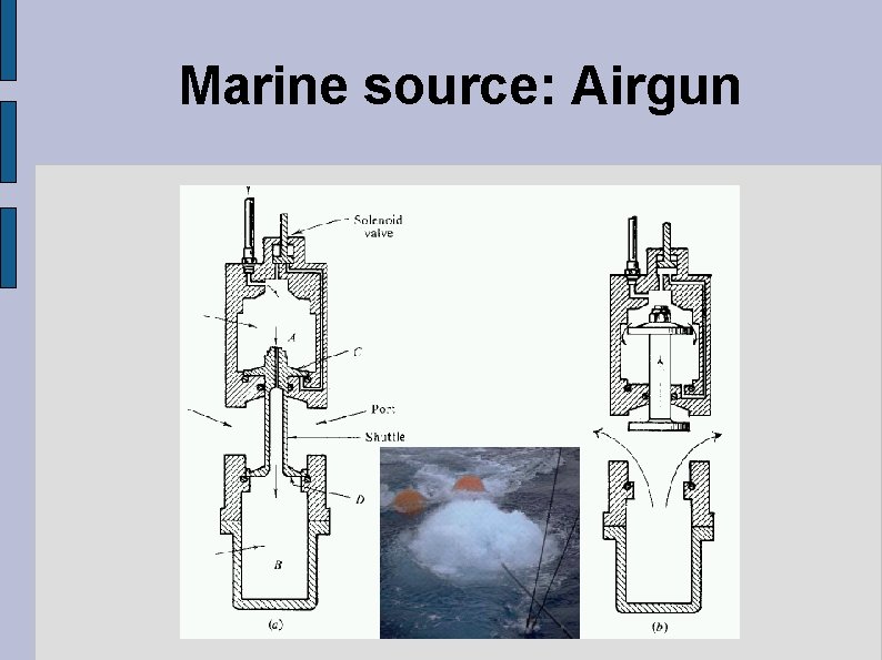 Marine source: Airgun 