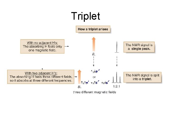 Triplet 