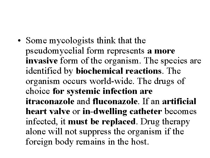  • Some mycologists think that the pseudomycelial form represents a more invasive form