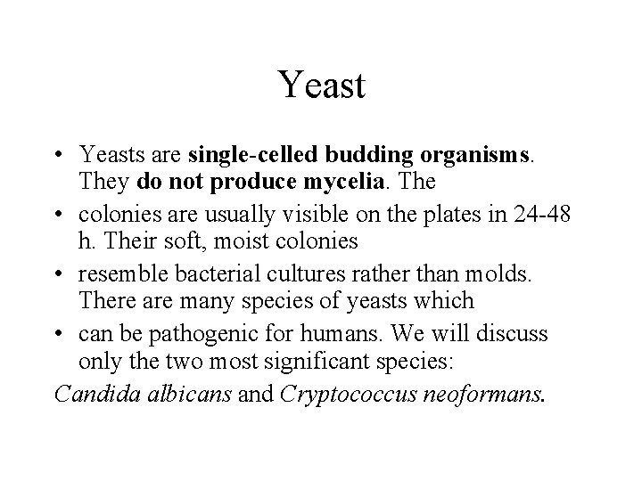 Yeast • Yeasts are single-celled budding organisms. They do not produce mycelia. The •