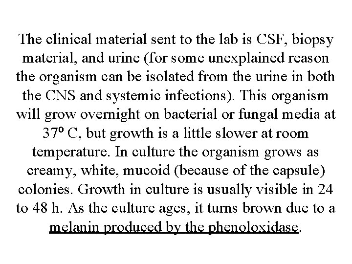 The clinical material sent to the lab is CSF, biopsy material, and urine (for