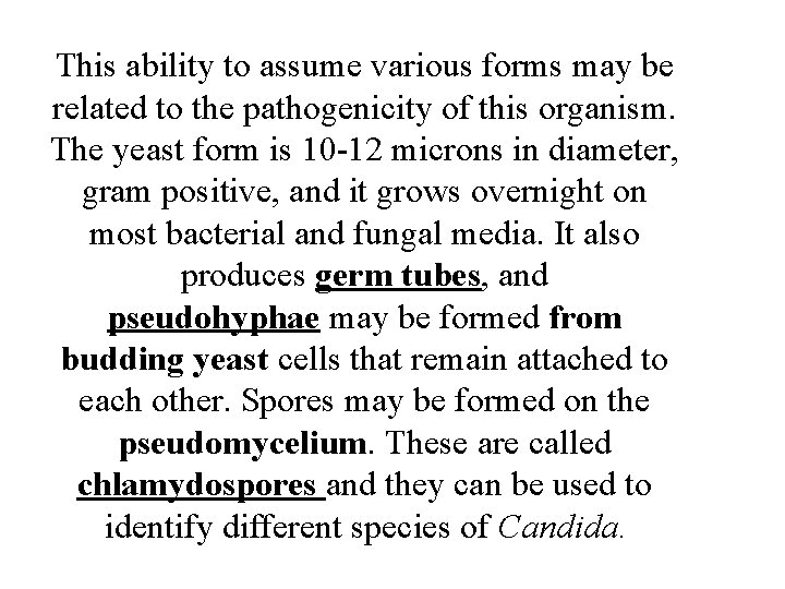 This ability to assume various forms may be related to the pathogenicity of this