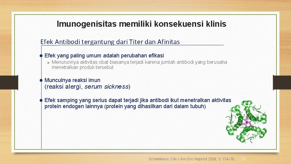 Imunogenisitas memiliki konsekuensi klinis Efek Antibodi tergantung dari Titer dan Afinitas l Efek yang