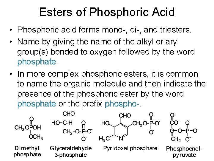 Esters of Phosphoric Acid • Phosphoric acid forms mono-, di-, and triesters. • Name