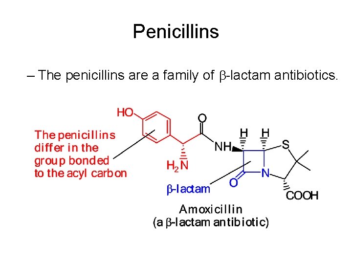 Penicillins – The penicillins are a family of -lactam antibiotics. 