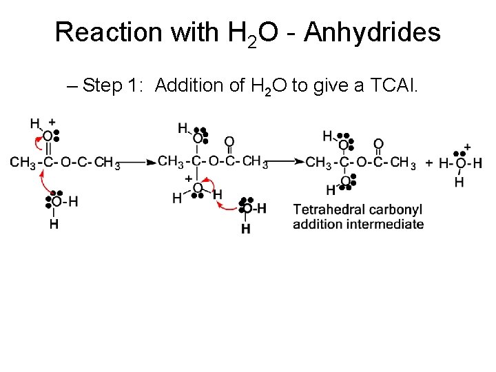 Reaction with H 2 O - Anhydrides – Step 1: Addition of H 2