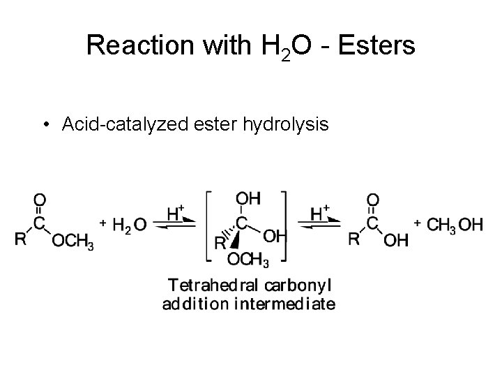 Reaction with H 2 O - Esters • Acid-catalyzed ester hydrolysis 