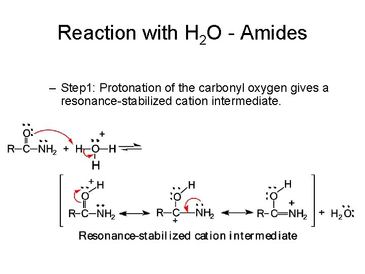 Reaction with H 2 O - Amides – Step 1: Protonation of the carbonyl