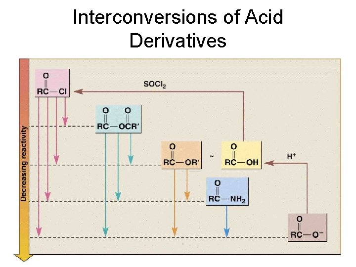 Interconversions of Acid Derivatives 