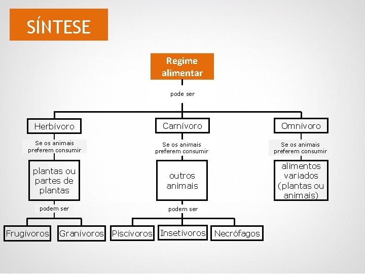 SÍNTESE Regime alimentar pode ser Herbívoro Carnívoro Omnívoro Se os animais preferem consumir plantas