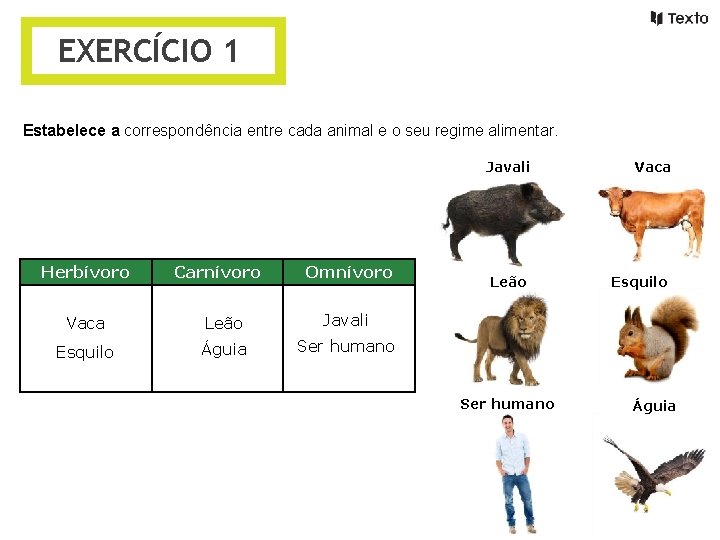 EXERCÍCIO 1 Estabelece a correspondência entre cada animal e o seu regime alimentar. Herbívoro