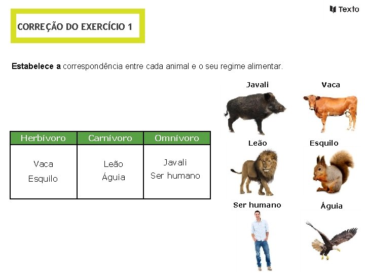 CORREÇÃO DO EXERCÍCIO 1 Estabelece a correspondência entre cada animal e o seu regime