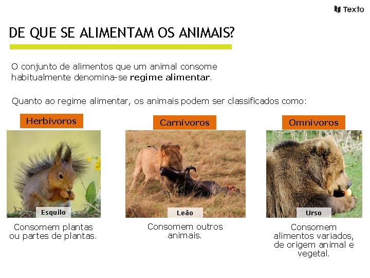 DE QUE SE ALIMENTAM OS ANIMAIS? O conjunto de alimentos que um animal consome