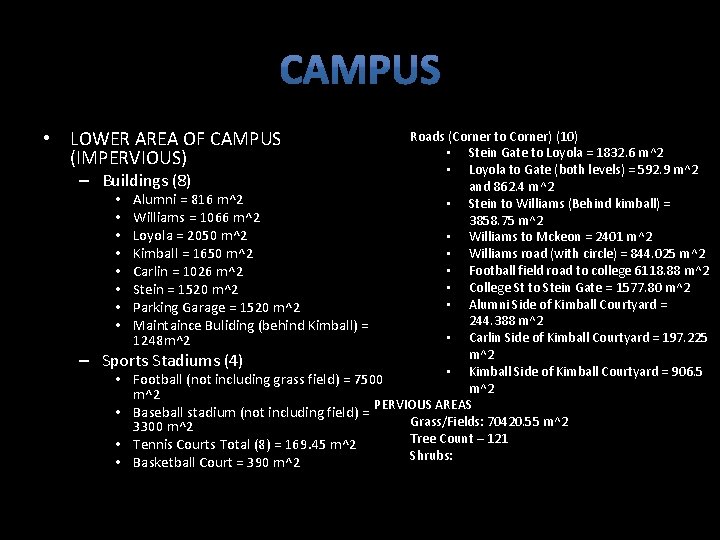  • LOWER AREA OF CAMPUS (IMPERVIOUS) – – Roads (Corner to Corner) (10)