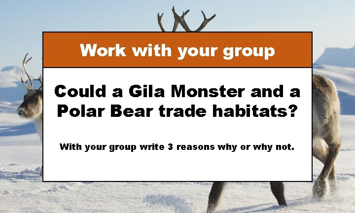 Work with your group Could a Gila Monster and a Polar Bear trade habitats?