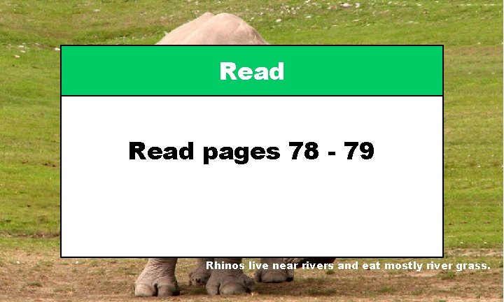 Read pages 78 - 79 Rhinos live near rivers and eat mostly river grass.