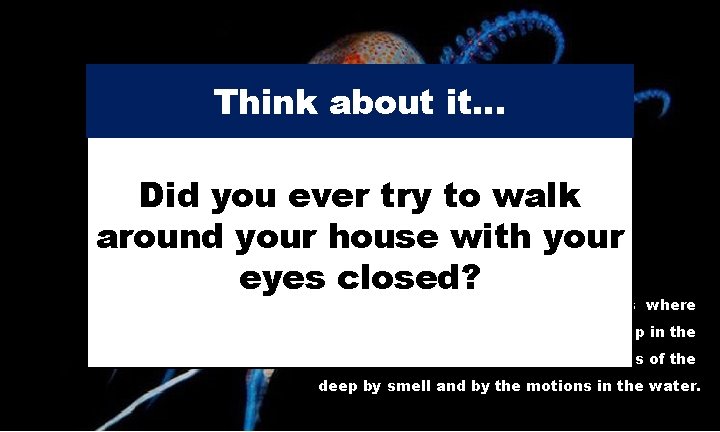 Think about it… Did you ever try to walk around your house with your