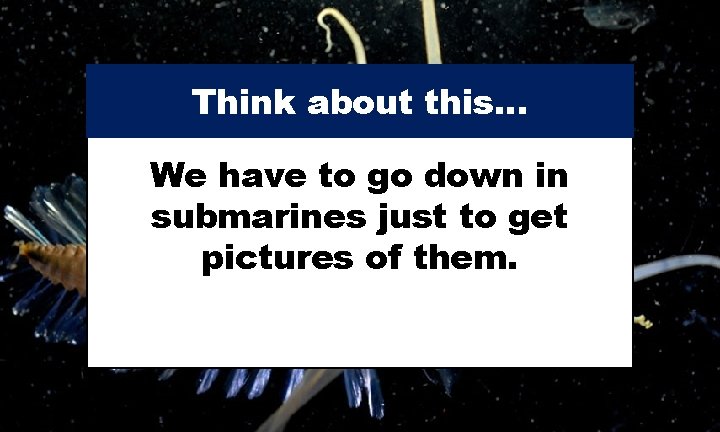 Think about this… We have to go down in submarines just to get pictures