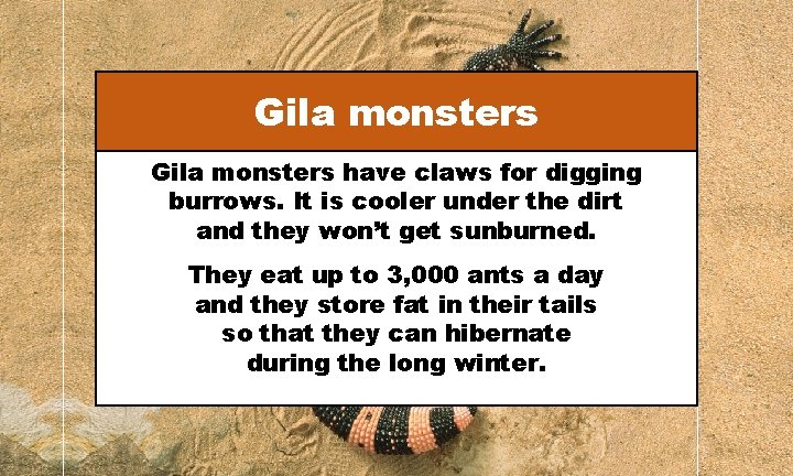 Gila monsters have claws for digging burrows. It is cooler under the dirt and