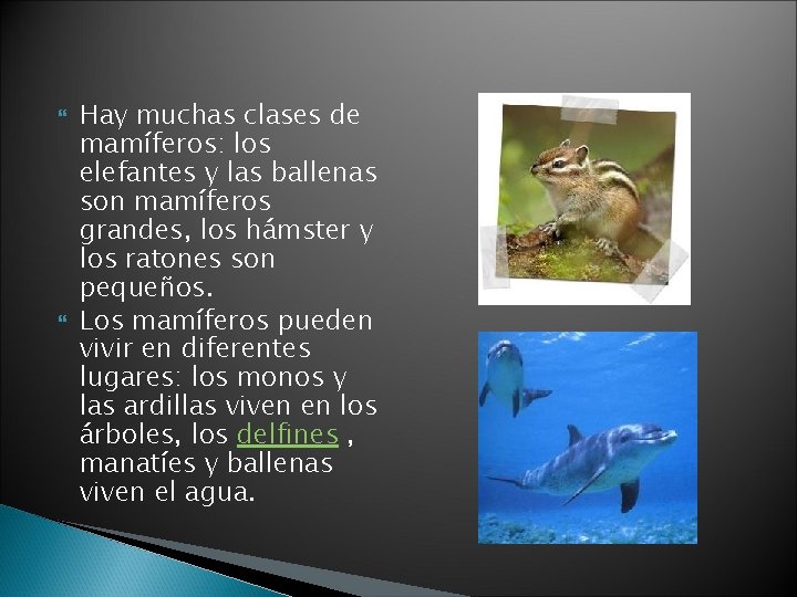  Hay muchas clases de mamíferos: los elefantes y las ballenas son mamíferos grandes,