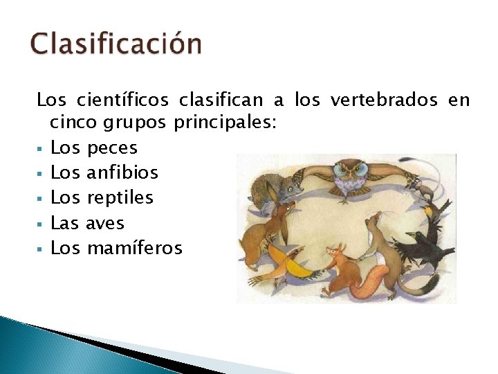 Los científicos clasifican a los vertebrados en cinco grupos principales: § Los peces §