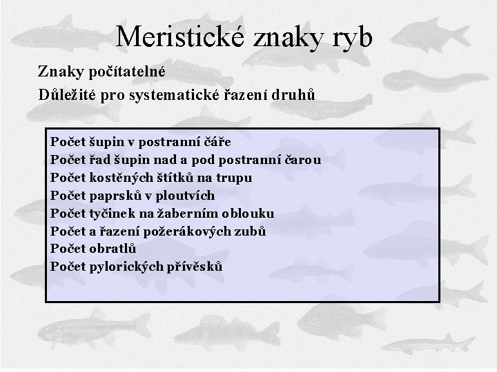 Meristické znaky ryb Znaky počítatelné Důležité pro systematické řazení druhů Počet šupin v postranní