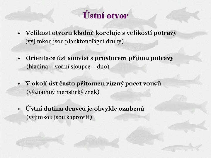 Ústní otvor • Velikost otvoru kladně koreluje s velikostí potravy (výjimkou jsou planktonofágní druhy)