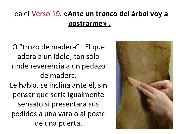 Lea el Verso 19. «Ante un tronco del árbol voy a postrarme» . O