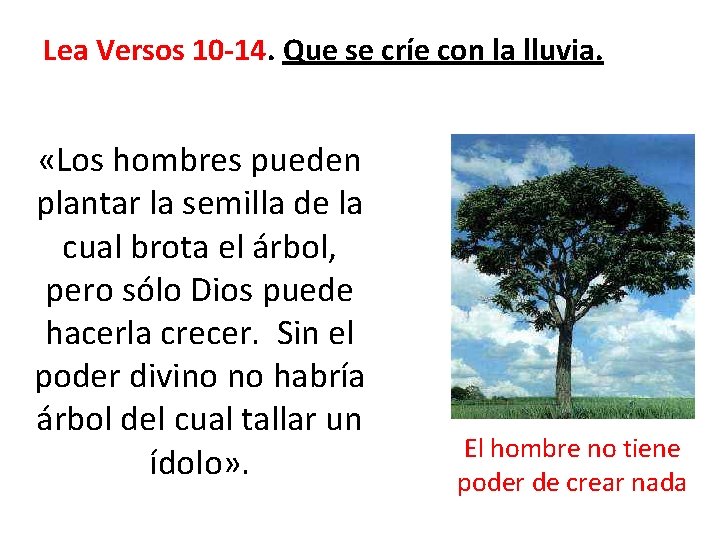 Lea Versos 10 -14. Que se críe con la lluvia. «Los hombres pueden plantar