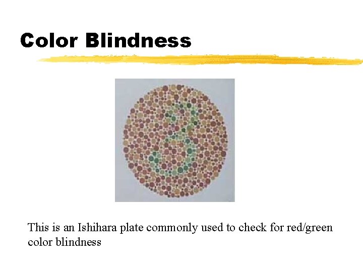Color Blindness This is an Ishihara plate commonly used to check for red/green color