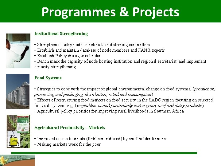 Programmes & Projects Institutional Strengthening • Strengthen country node secretariats and steering committees •