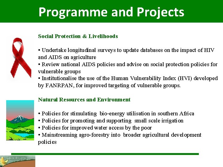 Programme and Projects Social Protection & Livelihoods • Undertake longitudinal surveys to update databases